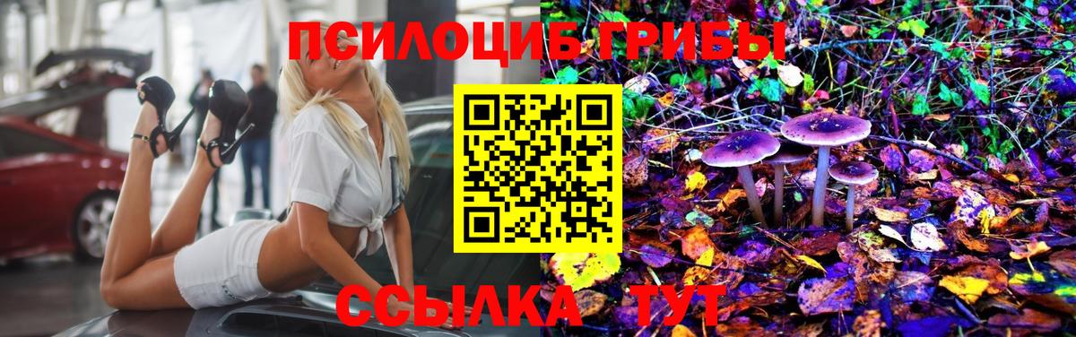 Псилоцибиновые грибы Psilocybine cubensis  Вход с VPN  Хасавюрт 