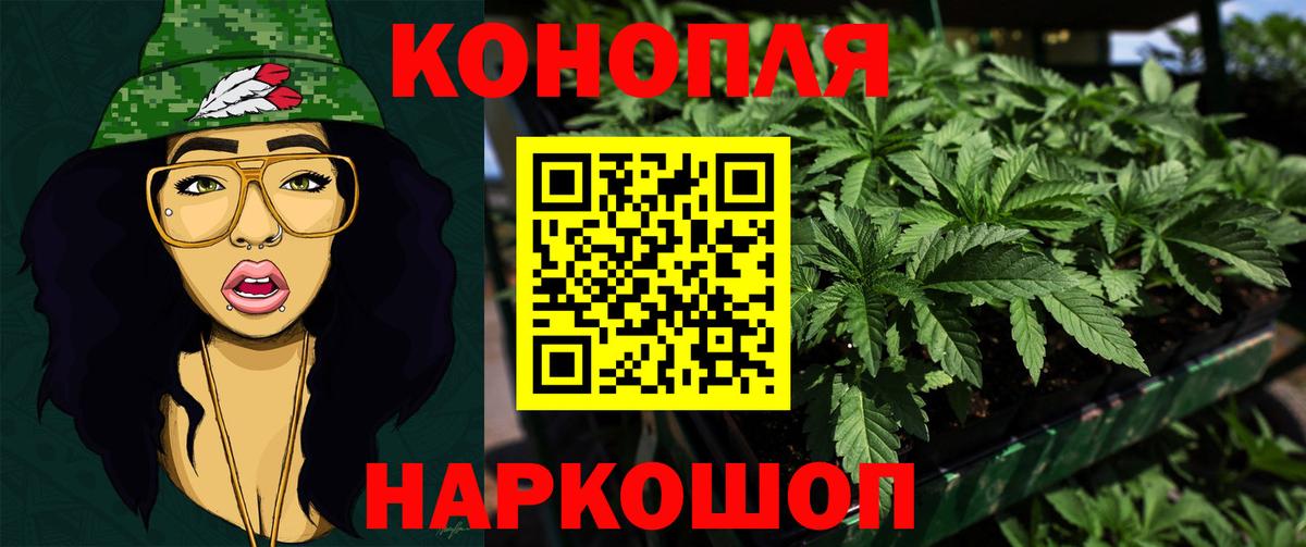 Каннабис SATIVA & INDICA Хасавюрт